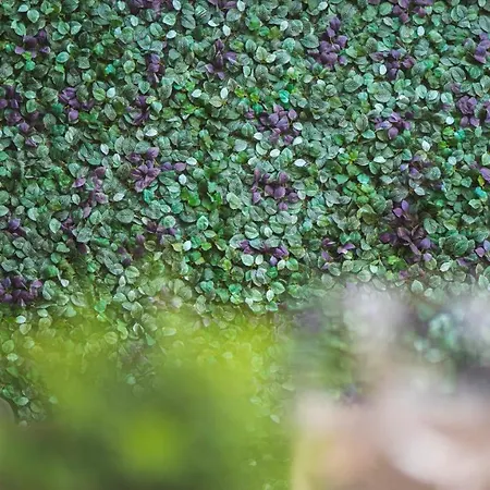 Luxury Apart' Center With Terrace Appartamento *