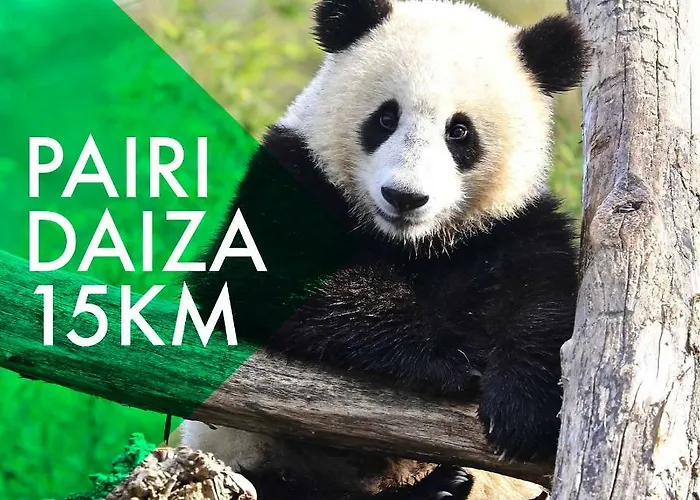 Luxury Apart' Center With Terrace